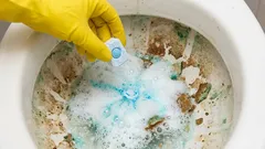 WC-istuin puhdistuu virtsakivistä tunnissa: nopea tapa astianpesukoneen tableteilla