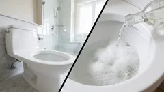 Kuinka puhdistaa wc-istuin virtsakivestä: yksinkertaiset kotikonstit auttavat