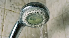 Kuinka puhdistaa suihku päältä bakteereista: helppo tapa muovipussilla ja yhdellä kotitalousaineella