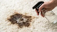 Täplät ja tahrat katoavat matosta jäljettömiin: helppo tapa ilman kemiallista pesua