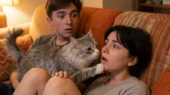 Mistä tietää, että olet hemmotellut kissaasi liikaa: älä toista näitä virheitä!