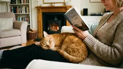 Kissat tunnistavat nämä neljä ihmistyyppiä omikseen. Muut ovat vain palveluhenkilökuntaa.