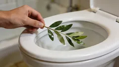 Miksi kokeneet emännät laittavat laakerinlehden wc-pönttöön koko päiväksi: mielenkiintoinen elämänhack, josta harvat tietävät