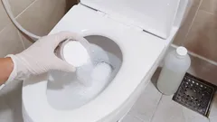 WC-istuin puhdistuu kalkkikerrostumista ja ruosteesta vaivattomasti 15 minuutissa: menetelmä ilman ammattilaista ja kalliita kustannuksia
