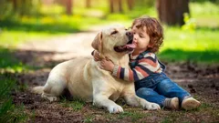 Mitä koirarotu kertoo omistajan luonteesta