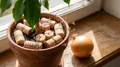 Pääsin eroon sipuleiden ja kukkien kärpäisistä tavallisella viinipullon korkilla (ja suosittelen teillekin samaa – se toimii!).