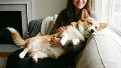 Miksi koirasi ei pidä halauksista ja miten sen voi heti ymmärtää